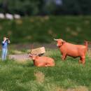 BUSCH 79893 - A-Set: Kuh mit Stier H0